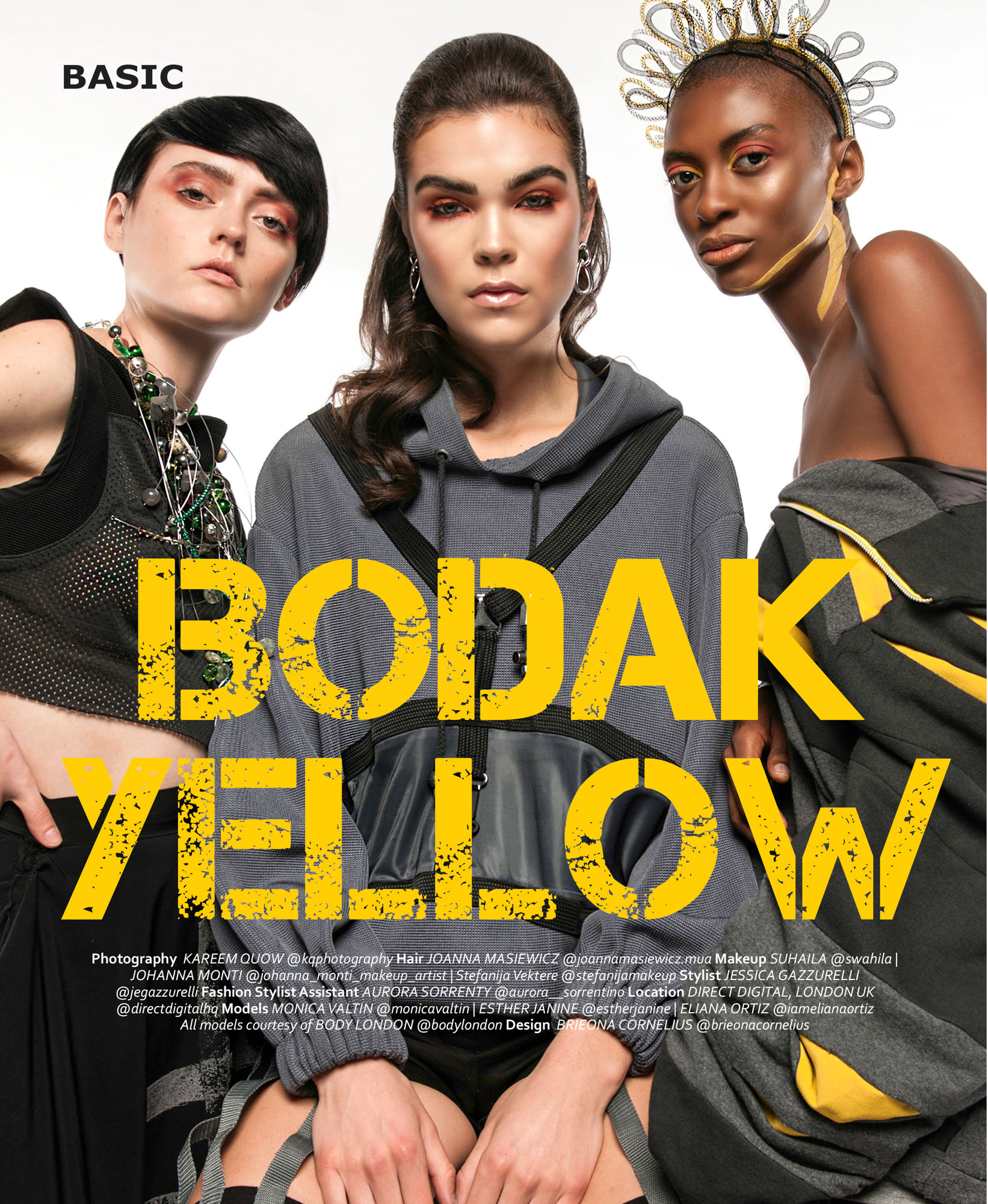 Photo 1 du projet Bodack Yellow